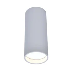 LED-Deckenspot Stag, CCT Und RGBW, Weiß