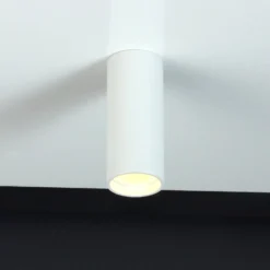 LED-Deckenspot Stag, CCT Und RGBW, Weiß -Heimbeleuchtung 10000495 3