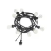 PR Home Bright LED-Lichterkette 10fl. Klar Schwarz