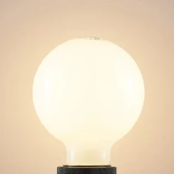 LED-Lampe E27 4W 2.700K G95 Globe Dimmbar Opal 2er -Heimbeleuchtung 10018140 3