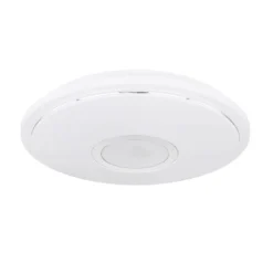Globo LED-Deckenleuchte Connor Lautsprecher CCT -Heimbeleuchtung 4015517 3