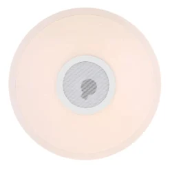 Globo LED-Deckenleuchte Connor Lautsprecher CCT -Heimbeleuchtung 4015517 4