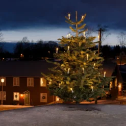 Außen-Lichterkette Topbirnen LED 45-flg. -Heimbeleuchtung 5524616 2