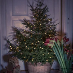 LED-Baummantel M. Vormontierten Globes 200fl -Heimbeleuchtung 5524836 2