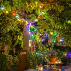 Lichterkette Biergarten 20 Bunte LED-Birnen -Heimbeleuchtung 5524898 2