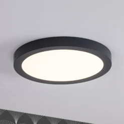 Paulmann Abia LED-Panel Ø 30cm 2.700K Dunkelgrau